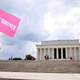 #FreeBritney supporter at a rally at the Lincoln Memorial